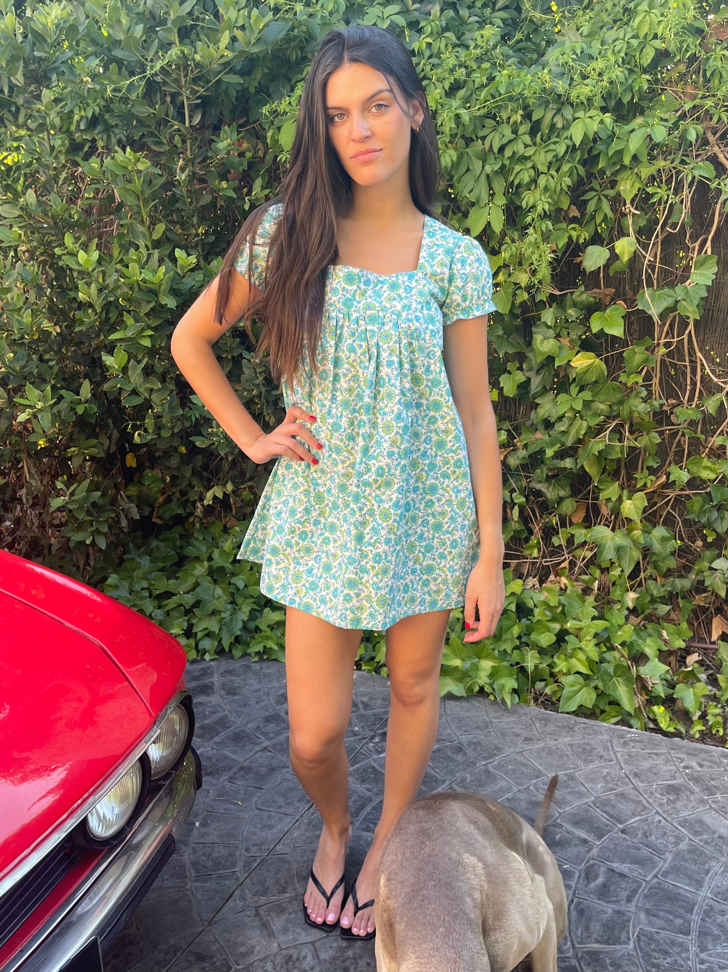 Jane Short Dress #2